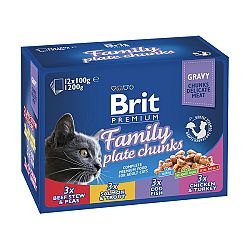 BRIT Premium Cat Family Plate kaps.1200g (12x100g)